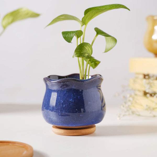 Botanica Azure Ceramic Planter With Coaster - Indoor planters and flower pots | Home decor items