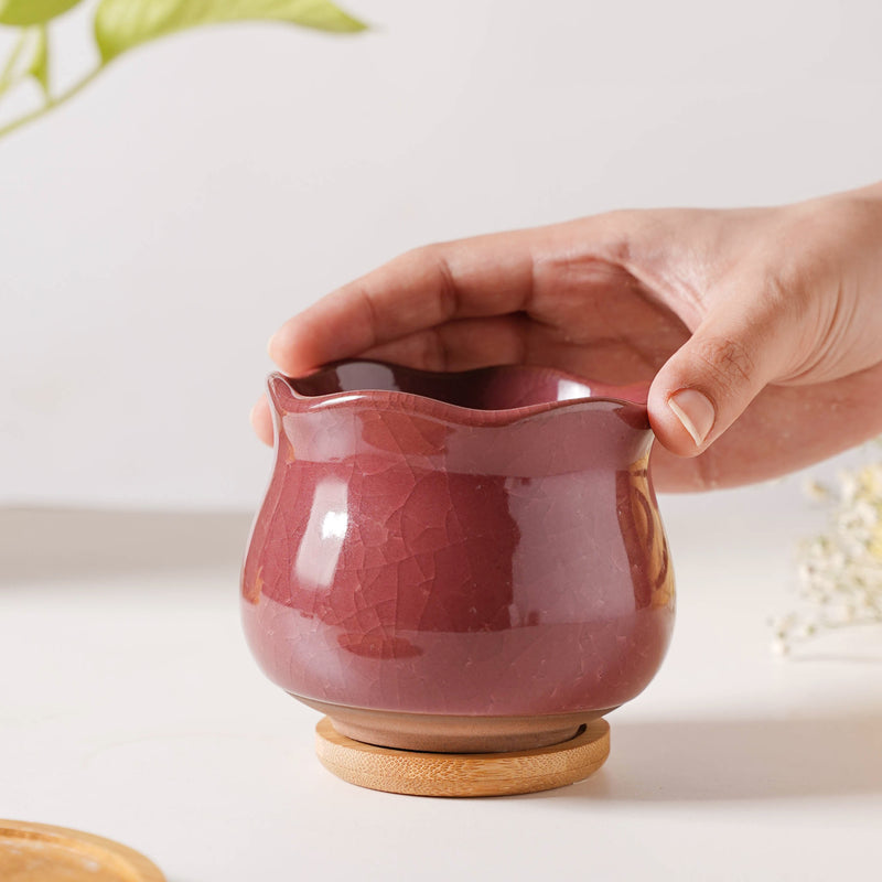 Botanica Brown Ceramic Planter With Coaster - Indoor planters and flower pots | Home decor items