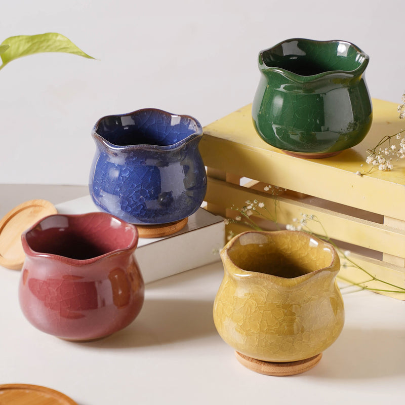 Botanica Ochre Ceramic Planter With Coaster - Indoor planters and flower pots | Home decor items