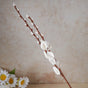 Floral Stick - Natural and sustainable decorative flowers | Room decoration items