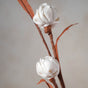 Flower Stick - Natural and sustainable decorative flowers | Room decoration items