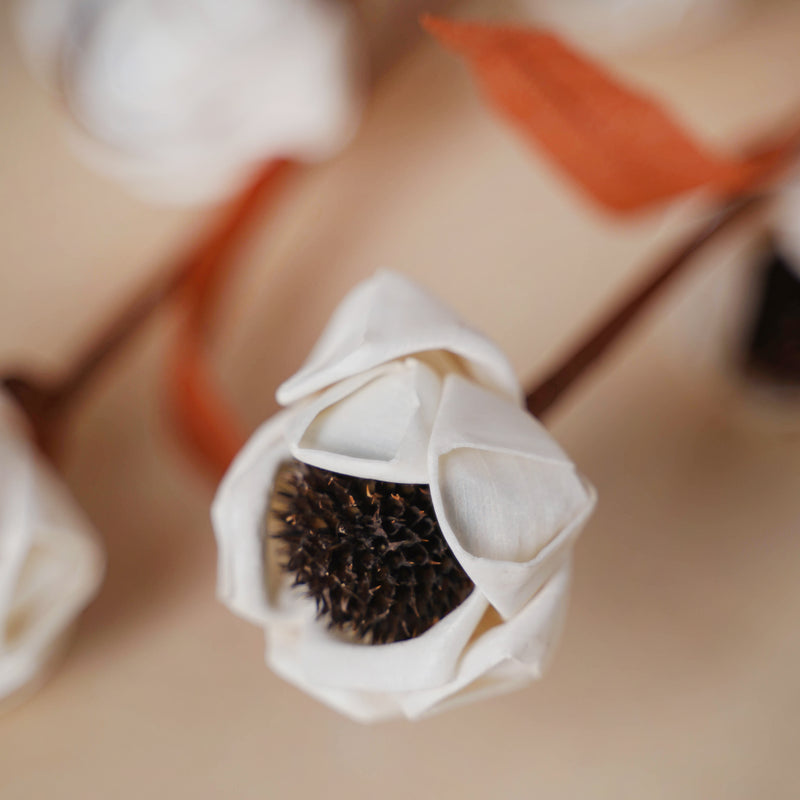 Flower Stick - Natural and sustainable decorative flowers | Room decoration items