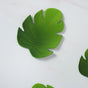 Palm Leaf Coaster Set of 6