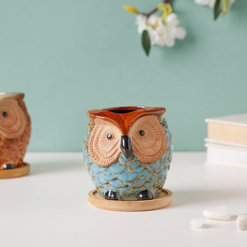 Seacrest Owl Blue Ceramic Planter With Wooden Coaster - Indoor planters and flower pots | Home decor items