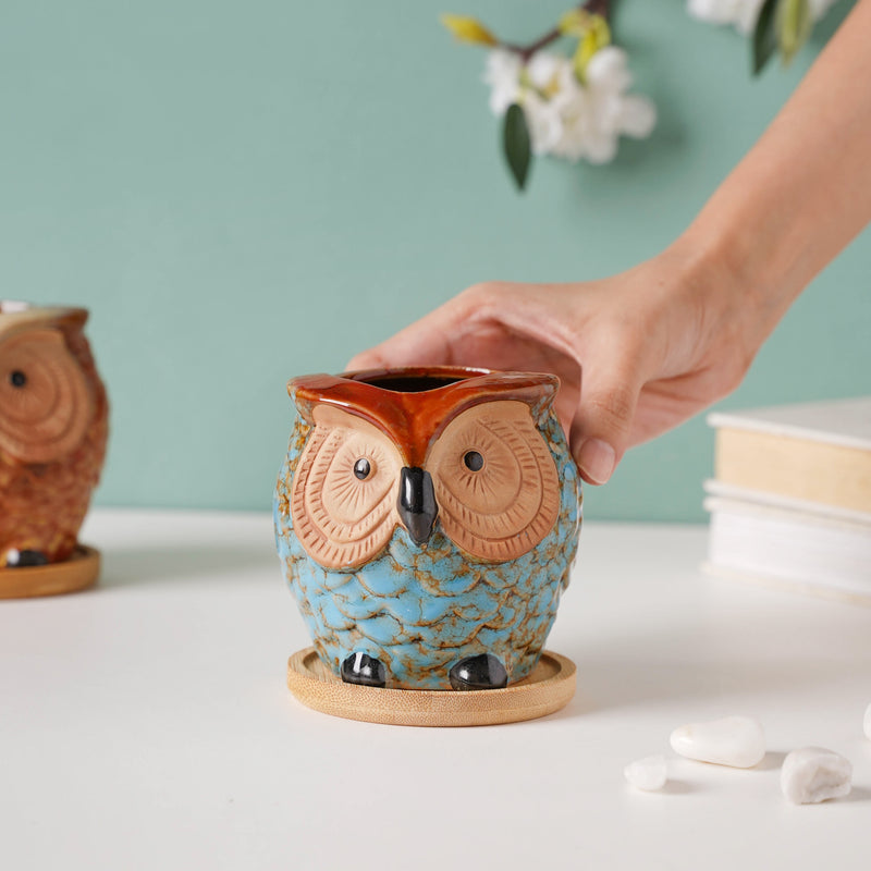 Seacrest Owl Blue Ceramic Planter With Wooden Coaster - Indoor planters and flower pots | Home decor items
