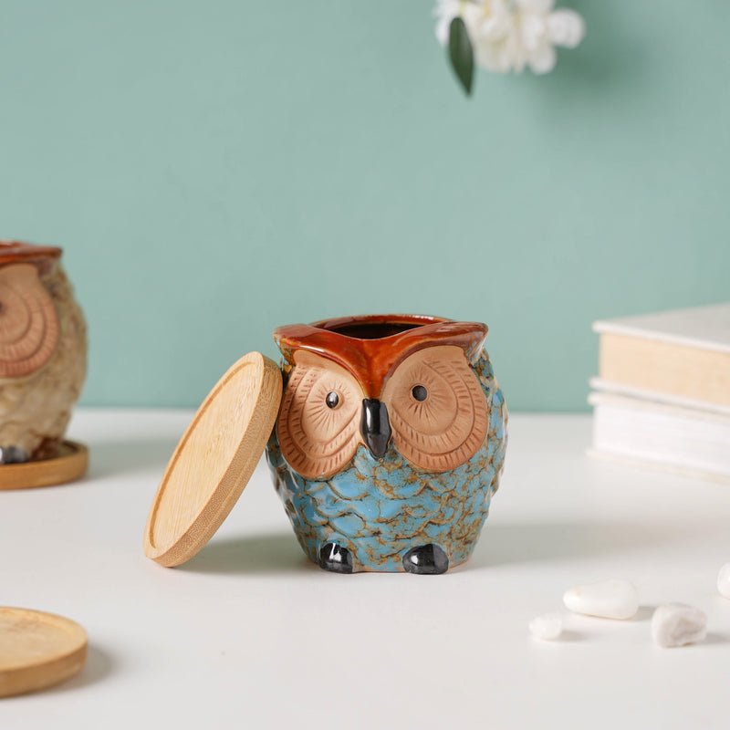 Seacrest Owl Blue Ceramic Planter With Wooden Coaster - Indoor planters and flower pots | Home decor items
