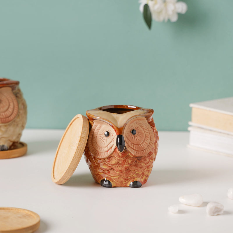 Orange Owl Ceramic Planter With Wooden Coaster - Indoor plant pots and flower pots | Home decoration items