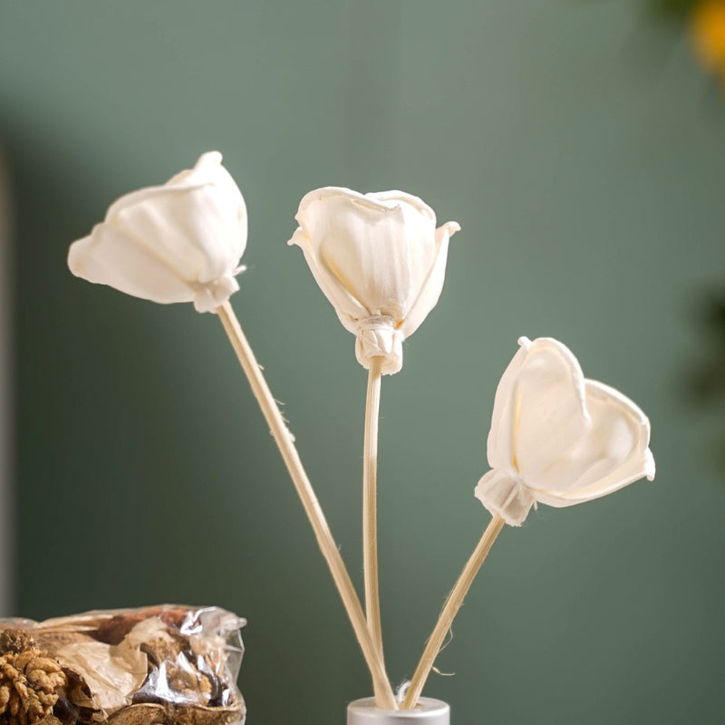 Fresh Lemongrass Reed Diffuser Set Of 3