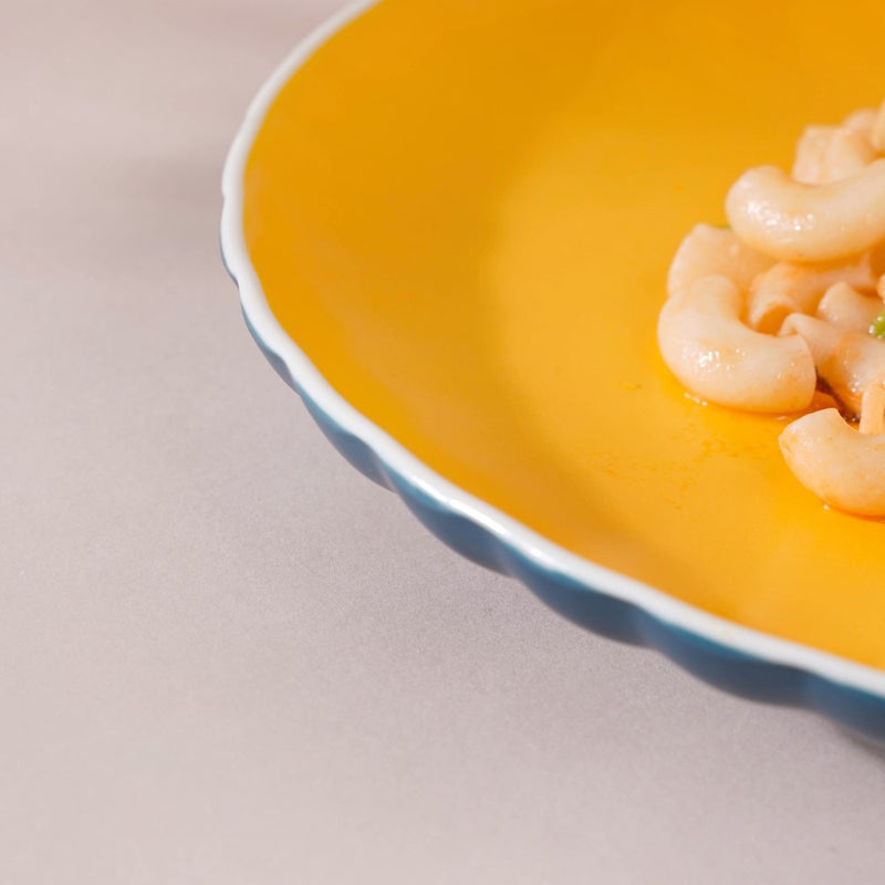 Chrome Dinner Plate Blue 9.5 Inch Set Of 2 - Serving plate, rice plate, ceramic dinner plates| Plates for dining table & home decor