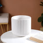 Oat White Ribbed Flower Pot - Flower vase for home decor, office and gifting | Home decoration items