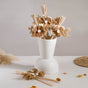 Shola Blossom Reed Mini Bouquet Set Of 4 - Natural, organic and eco-friendly dried flowers | Sustainable home decor items