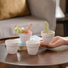 Modern Mini Pot For Decor White Set of 4 - Plant pot and plant stands | Room decor items