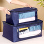 Closet Storage Organiser Bag Set Of 2 Blue