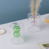 Designer Glass Vase - Glass flower vase for home decor, office and gifting | Room decoration items