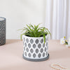Grey Scalloped Pot With Plate - Indoor planters and flower pots | Home decor items