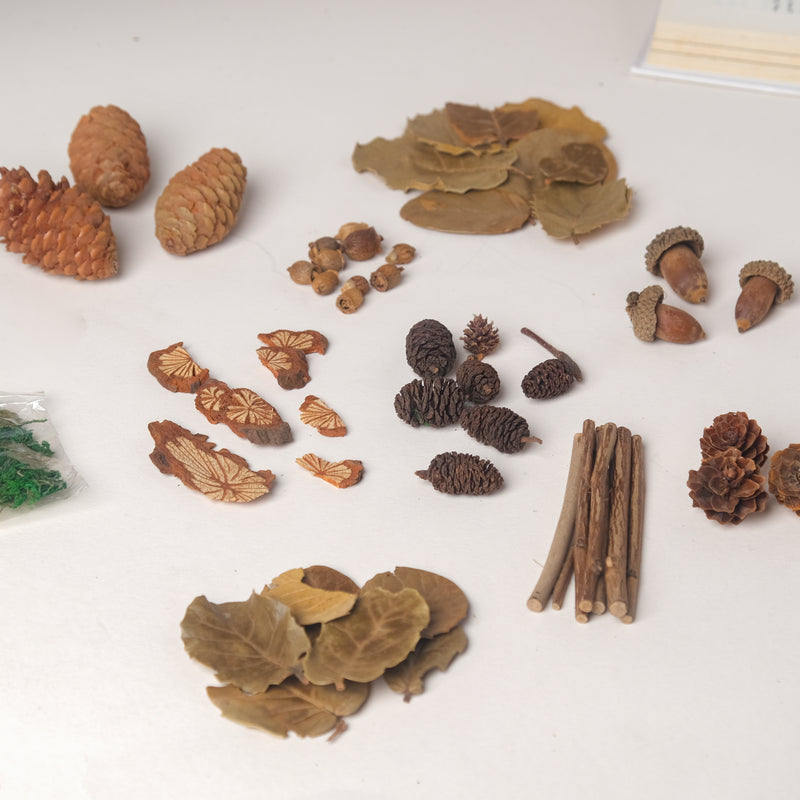 Natural Dried Flowers - Potpourri with fragrance | Living room and home decor items
