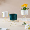 Flower Planter - Indoor planters and flower pots | Home decor items