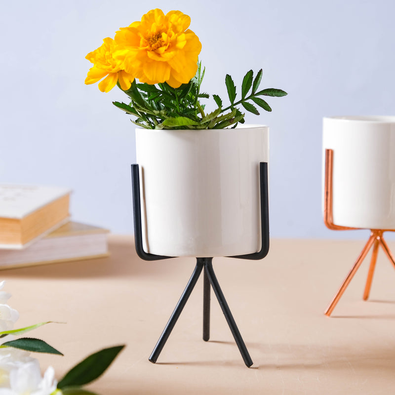 Porcelain Planter - Indoor plant pots and flower pots | Home decoration items