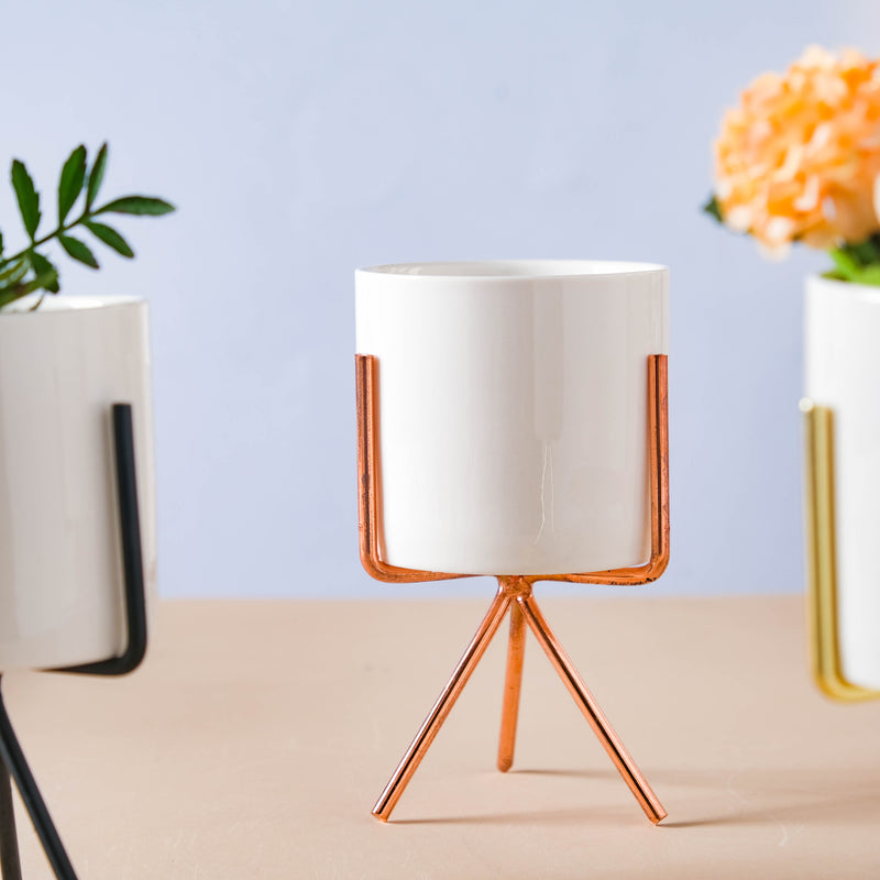 Porcelain Planter - Indoor plant pots and flower pots | Home decoration items