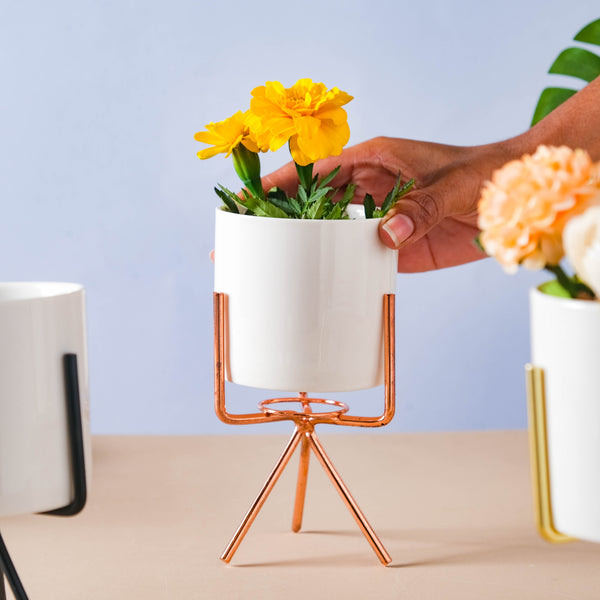 Porcelain Planter - Indoor plant pots and flower pots | Home decoration items