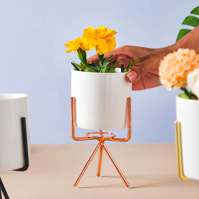 Porcelain Planter - Indoor plant pots and flower pots | Home decoration items