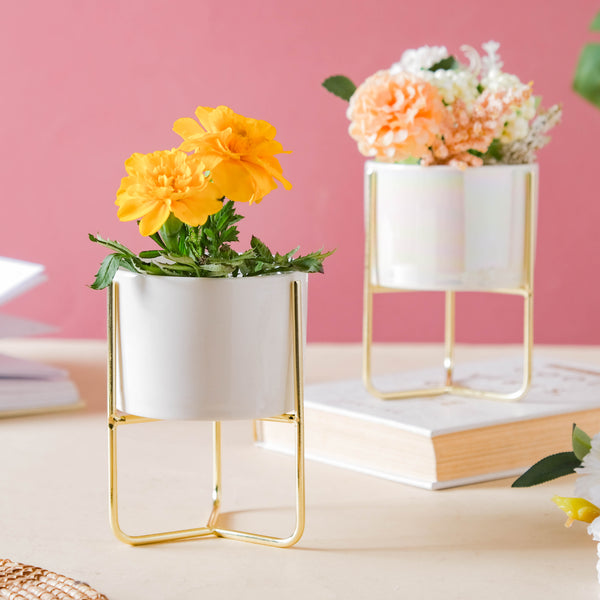 Porcelain Succulent Planter - Indoor plant pots and flower pots | Home decoration items