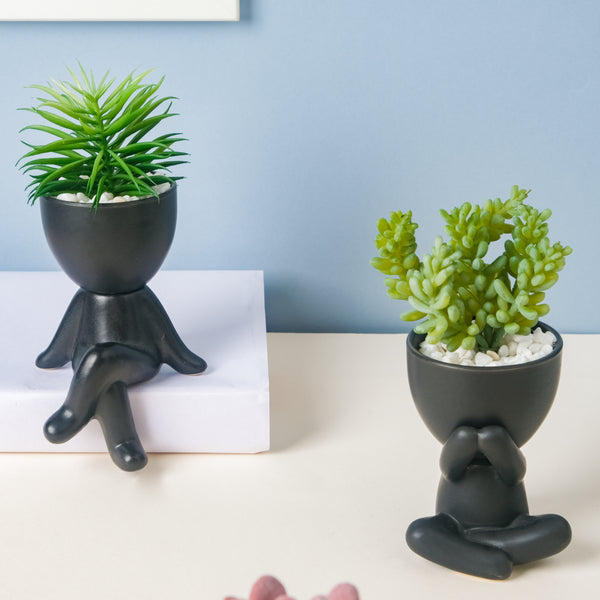 Potted Planter with Plant - Indoor plant pots and flower pots | Home decoration items