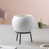 Round Ceramic Indoor Planter - Indoor planters and flower pots | Home decor items