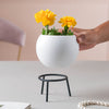 Round Ceramic Indoor Planter - Indoor planters and flower pots | Home decor items