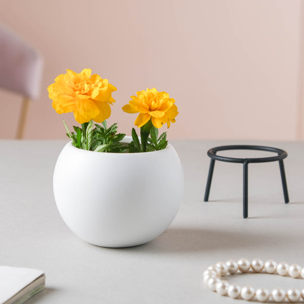 Round Ceramic Indoor Planter - Indoor planters and flower pots | Home decor items