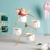 White Pot on A Ferris Wheel Stand - Indoor planters and flower pots | Home decor items