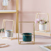 Single Swing Planter - Indoor planters and flower pots | Home decor items