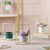 Single Swing Planter - Indoor planters and flower pots | Home decor items