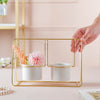 Indoor Pottery Planter - Plant pot and plant stands | Room decor items