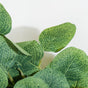 Eucalyptus Leaf Vine For Decor Light Green - Artificial Plant | Flower for vase | Home decor item | Room decoration item