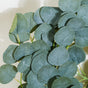 Eucalyptus Leaf Vine For Decoration Green - Artificial Plant | Flower for vase | Home decor item | Room decoration item