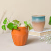 Rustic Pot - Indoor planters and flower pots | Home decor items