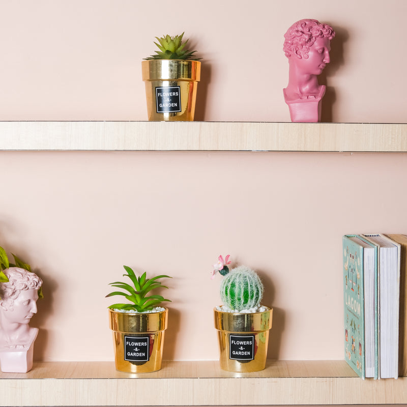 Artificial Succulent Pot - Indoor planters and flower pots | Home decor items