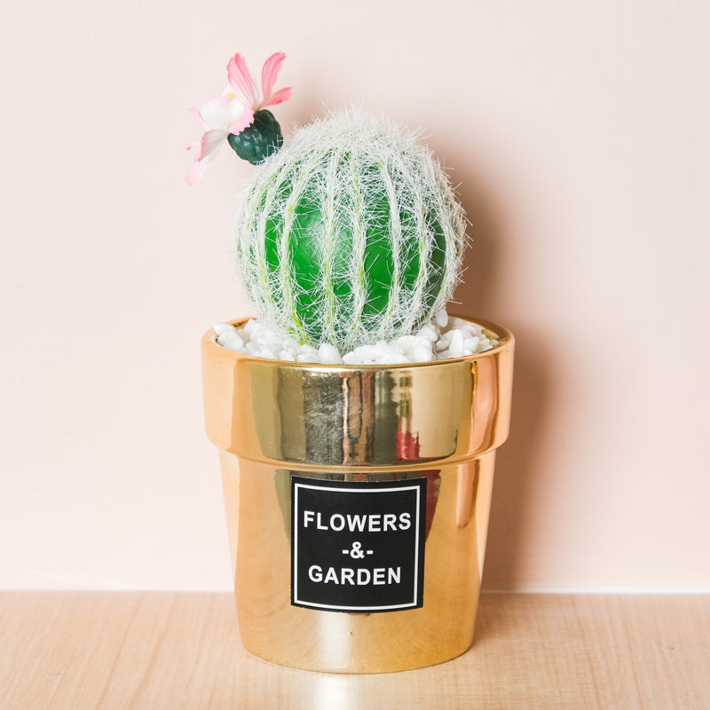 Artificial Succulent Pot - Indoor planters and flower pots | Home decor items