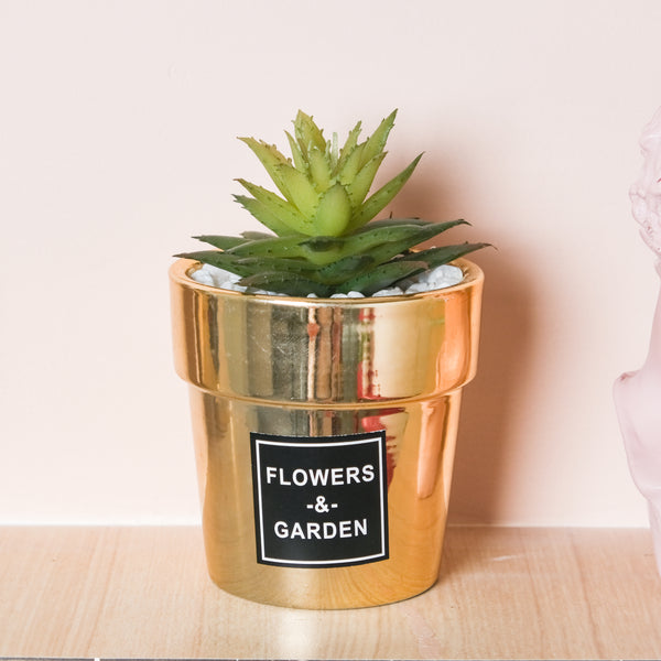 Artificial Succulent Pot - Indoor planters and flower pots | Home decor items