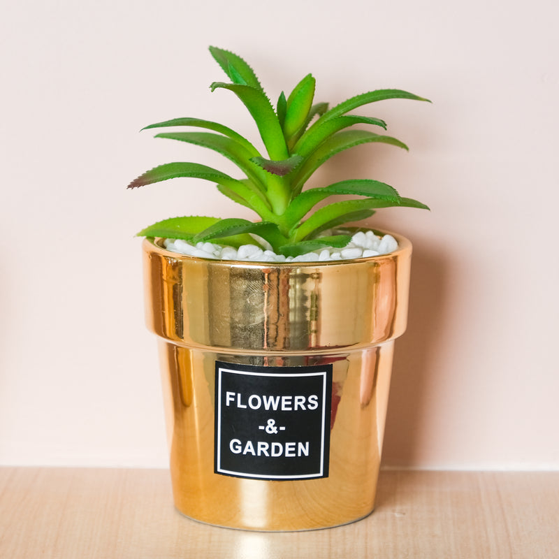 Artificial Succulent Pot - Indoor planters and flower pots | Home decor items