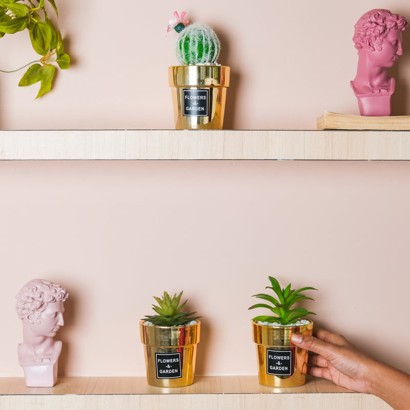 Artificial Succulent Pot - Indoor planters and flower pots | Home decor items