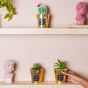 Artificial Succulent Pot - Indoor planters and flower pots | Home decor items