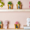 Faux Succulent Pot - Indoor planters and flower pots | Home decor items