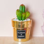 Faux Succulent Pot - Indoor planters and flower pots | Home decor items