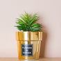 Faux Succulent Pot - Indoor planters and flower pots | Home decor items