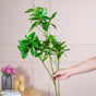 Artificial Foliage - Artificial Plant | Flower for vase | Home decor item | Room decoration item