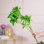 Artificial Foliage - Artificial Plant | Flower for vase | Home decor item | Room decoration item