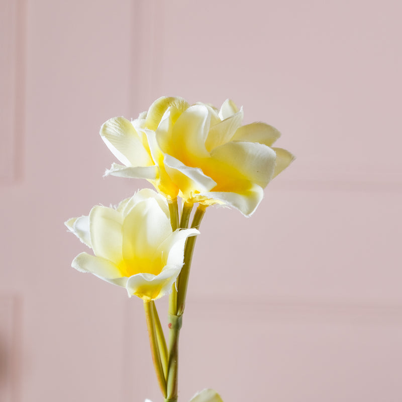 Faux Blossoms - Artificial flower | Home decor item | Room decoration item