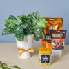 Bouquet Vase And Leaves Diwali Hmaper Set Of 6